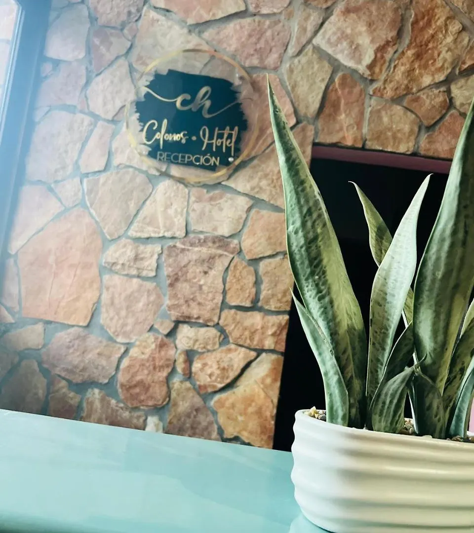 Hotel Colonos Los Cabos Cabo San Lucas México